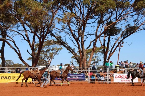 Coolgardie Outback Rodeo - IMG_1013