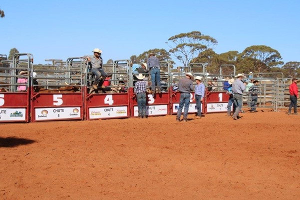 Coolgardie Outback Rodeo - IMG_1118