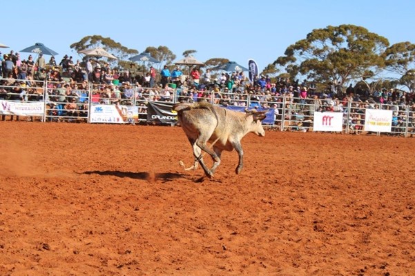 Coolgardie Outback Rodeo - IMG_1138