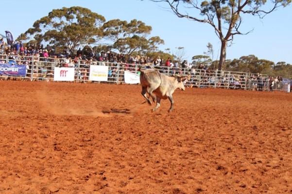 Coolgardie Outback Rodeo - IMG_1140