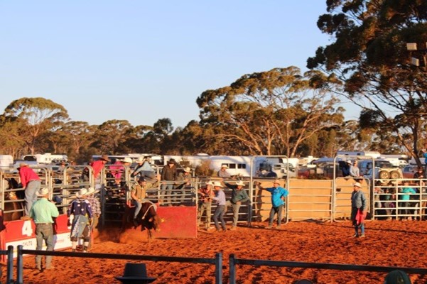 Coolgardie Outback Rodeo - IMG_1317