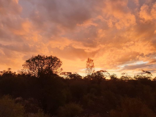 Showcase Our Shire Photography - 12 Darren Brooks_Coolgardie sunset
