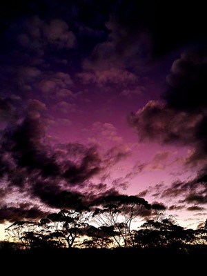 Showcase Our Shire Photography - 14 Rani Hutchinson_Kambalda night skies