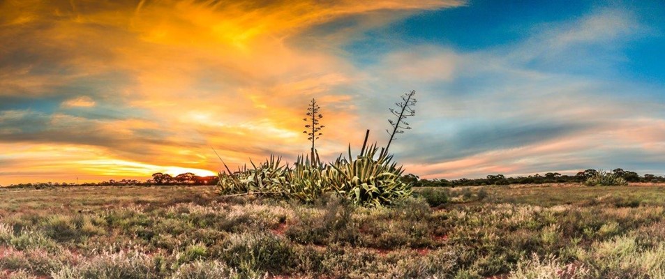 Showcase Our Shire Photography - 2 Daniel Roissetter_Coolgardie Sunsets