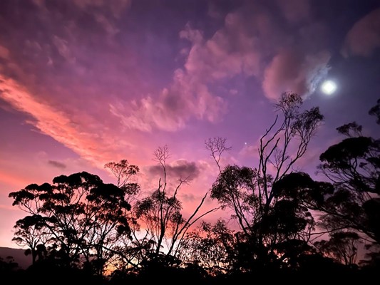 Showcase Our Shire Photography - 30 Jessica Higgins_Winter Sunset