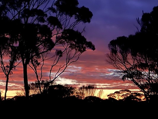 Showcase Our Shire Photography - 54 Ron Bates_Sunset from my backdoor