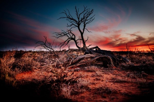 Showcase Our Shire Photography - Sarah_Hollermead_reddirt(188) L