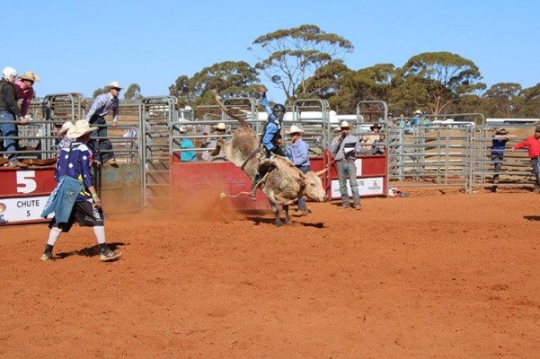 Coolgardie Outback Rodeo - Bucking Bull