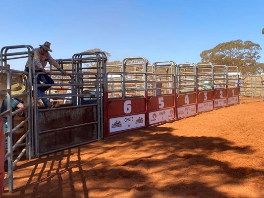 Coolgardie Outback Rodeo - Bull Chutes