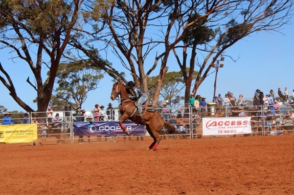 Coolgardie Outback Rodeo - Horse Bucking