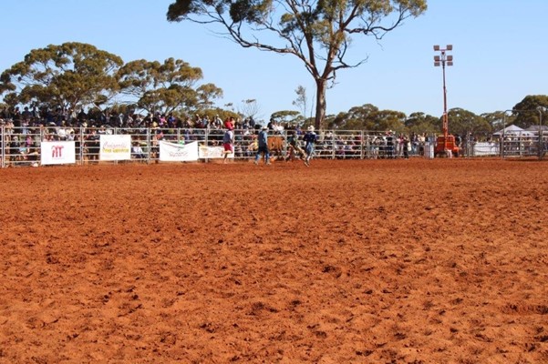 Coolgardie Outback Rodeo - IMG_1117