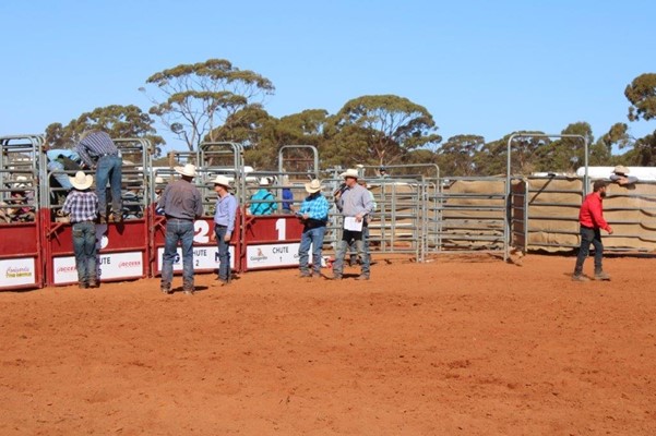 Coolgardie Outback Rodeo - IMG_1119