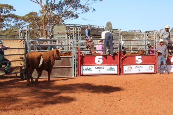 Coolgardie Outback Rodeo - IMG_1125