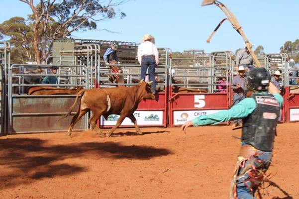 Coolgardie Outback Rodeo - IMG_1126