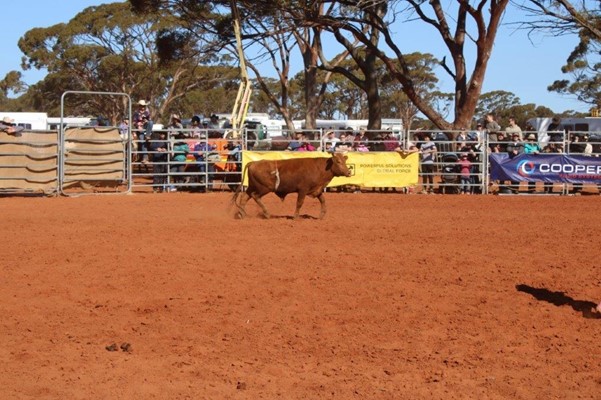 Coolgardie Outback Rodeo - IMG_1127