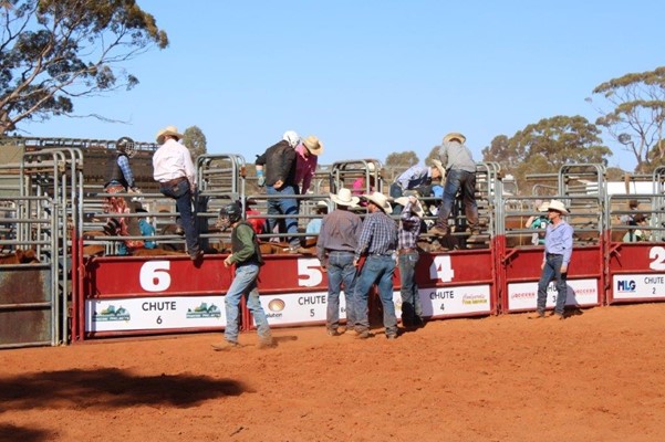 Coolgardie Outback Rodeo - IMG_1130