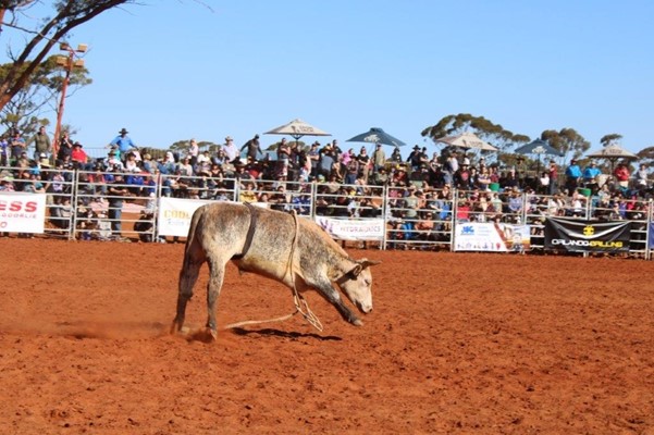 Coolgardie Outback Rodeo - IMG_1136