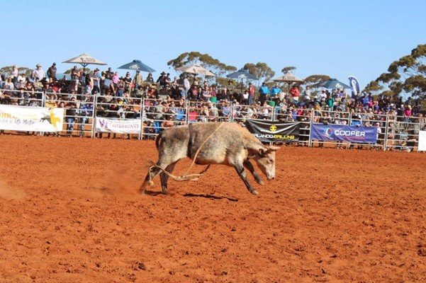 Coolgardie Outback Rodeo - IMG_1137