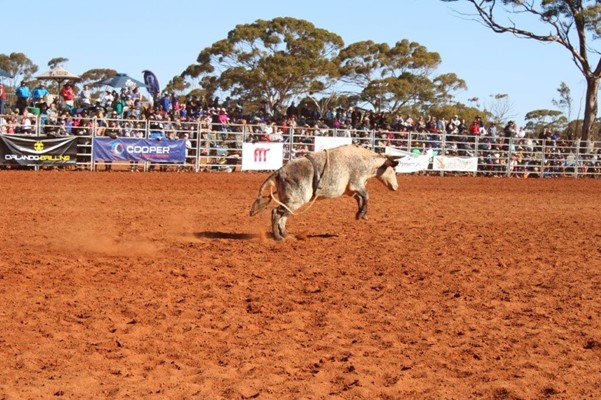 Coolgardie Outback Rodeo - IMG_1139