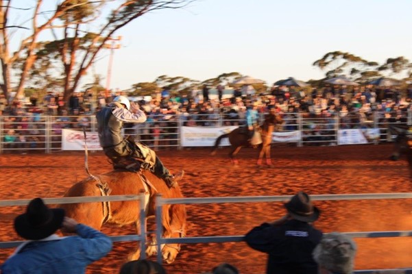 Coolgardie Outback Rodeo - IMG_1333