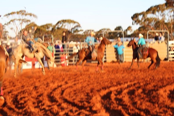Coolgardie Outback Rodeo - IMG_1334