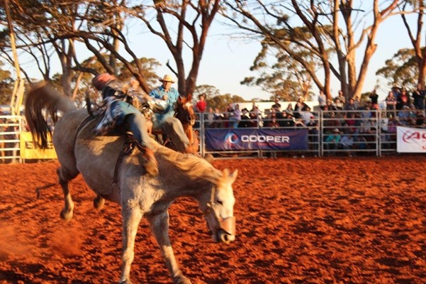 Coolgardie Outback Rodeo - IMG_1338