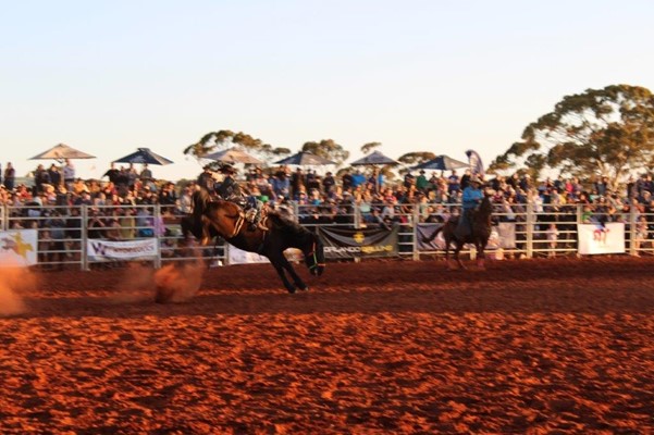 Coolgardie Outback Rodeo - IMG_1343