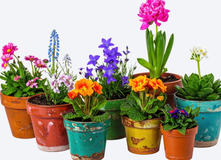 Bunnings Visit with NJ