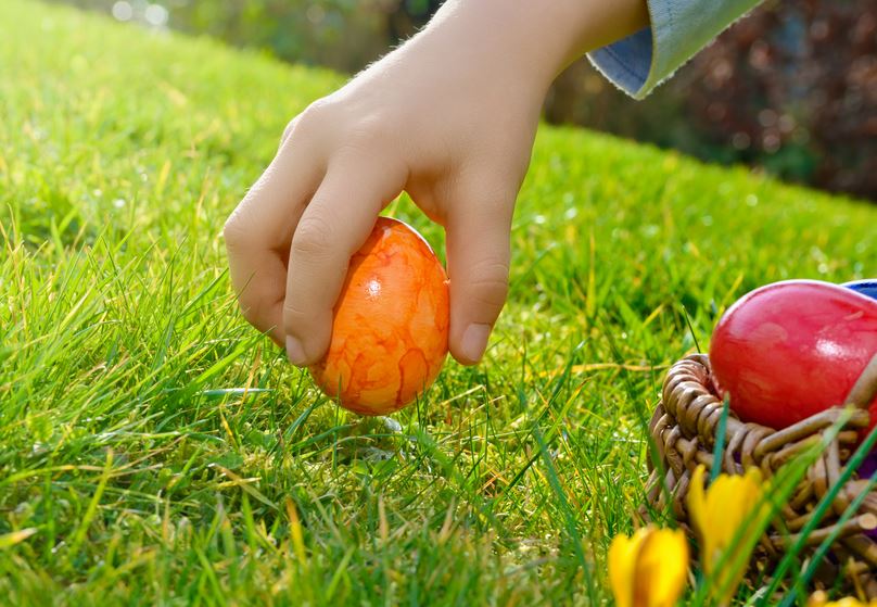 Easter Egg Hunt