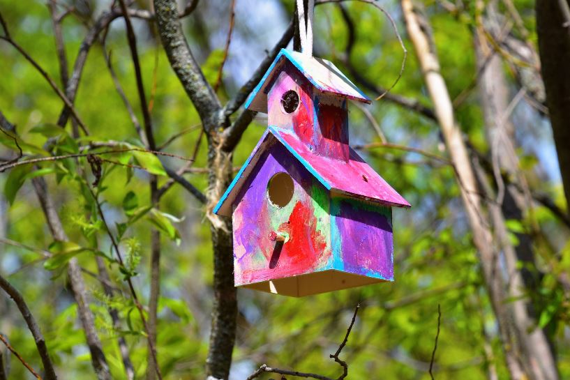 Bird House making Crafternoon