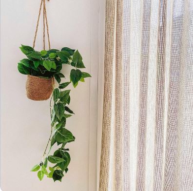 Seagrass Plant Holders