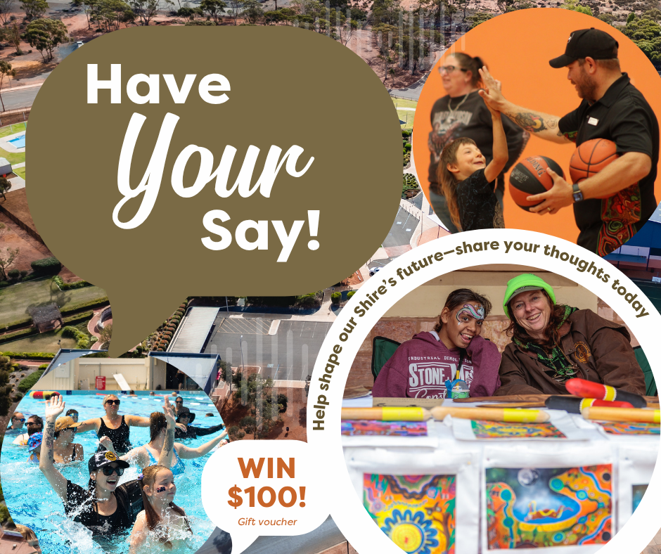 Have Your Say on the Shire’s Future