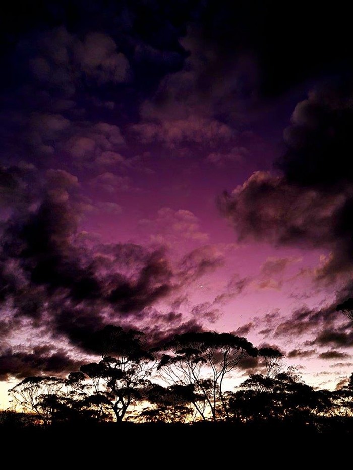 Image Gallery - 14 Rani Hutchinson_Kambalda night skies