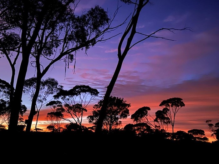Image Gallery - 8 Ron Bates_Colours of sunset