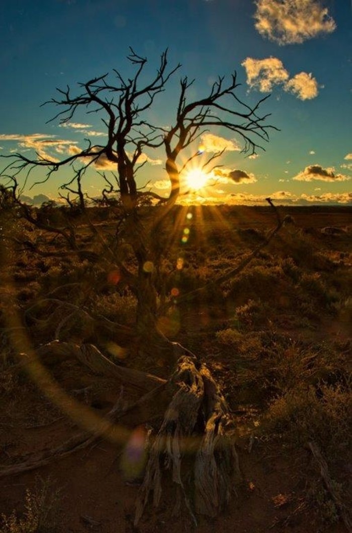 Image Gallery - 3Cheryl_Wheatley_Kambalda sunset colours(952)_Kambalda